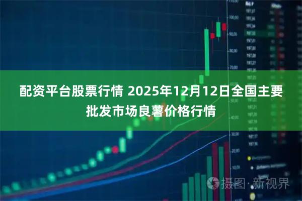 配资平台股票行情 2025年12月12日全国主要批发市场良薯价格行情