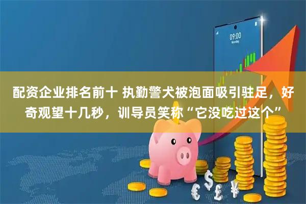 配资企业排名前十 执勤警犬被泡面吸引驻足，好奇观望十几秒，训导员笑称“它没吃过这个”